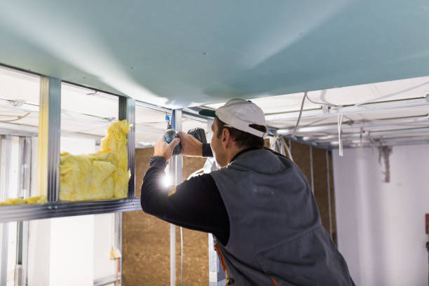 Best Insulation for Specific Applications in Hillsboro Beach, FL